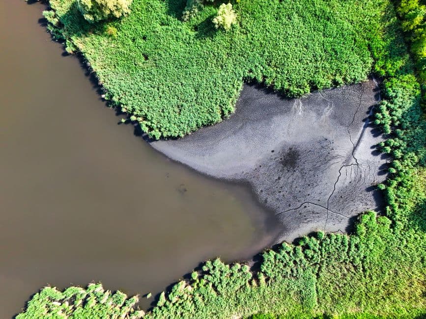 Aerial view of vibrant marshland contrasting with a dark muddy shoreline.