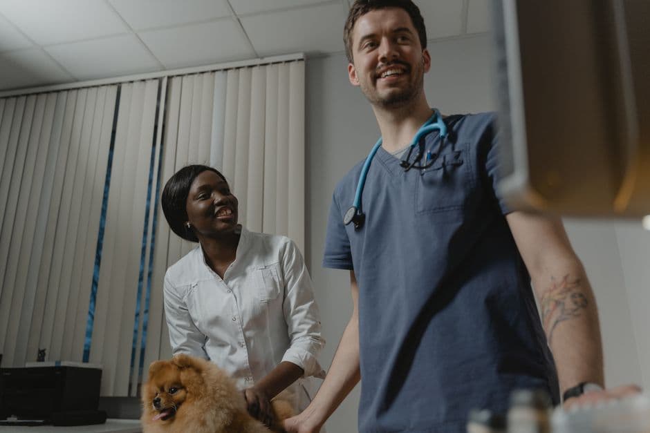 Veterinarians smile as they examine a Pomeranian dog in a medical office setting.