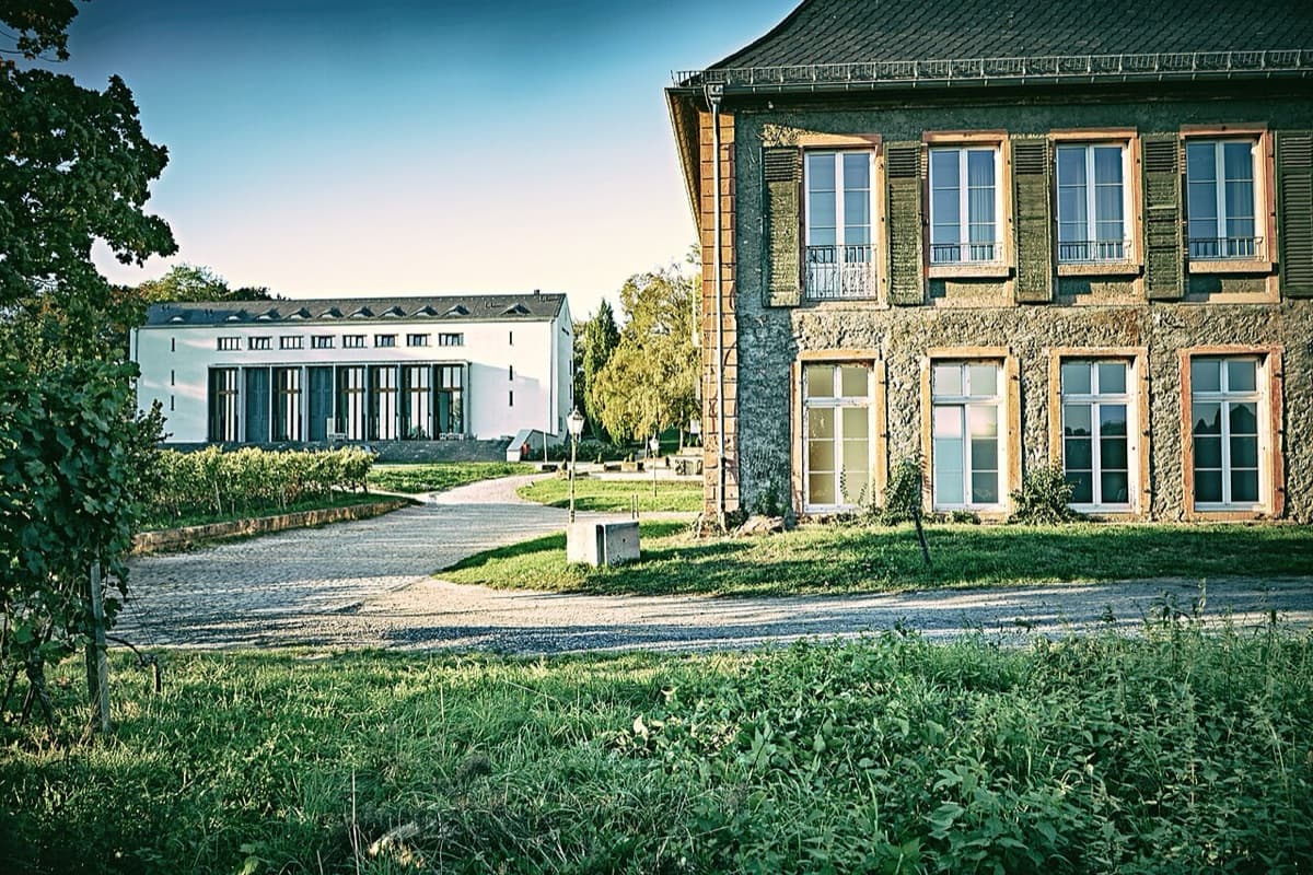 EBS castle campus with historic manor building and modern white wing in Oestrich-Winkel.