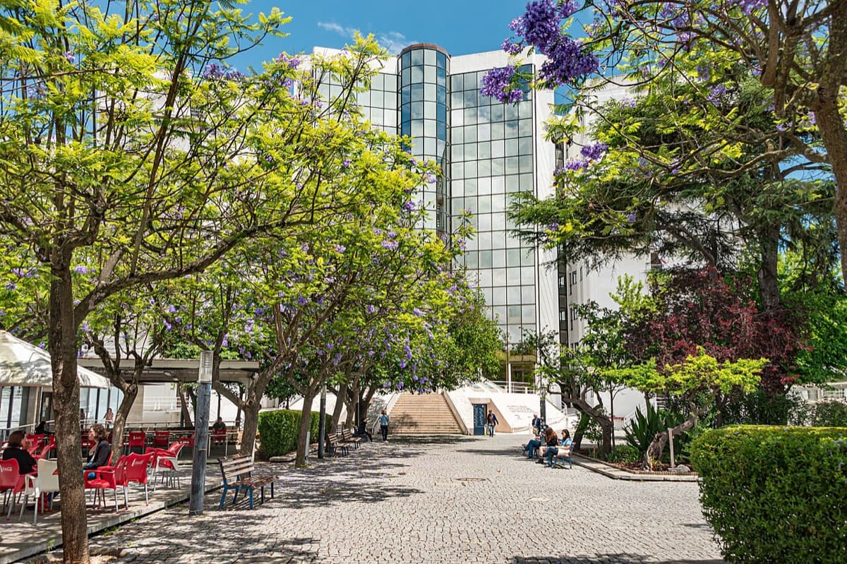 Campus courtyard of NOVA University Lisbon with flowering trees (wisteria and yellow blooms) framing a modern institutional tower building.