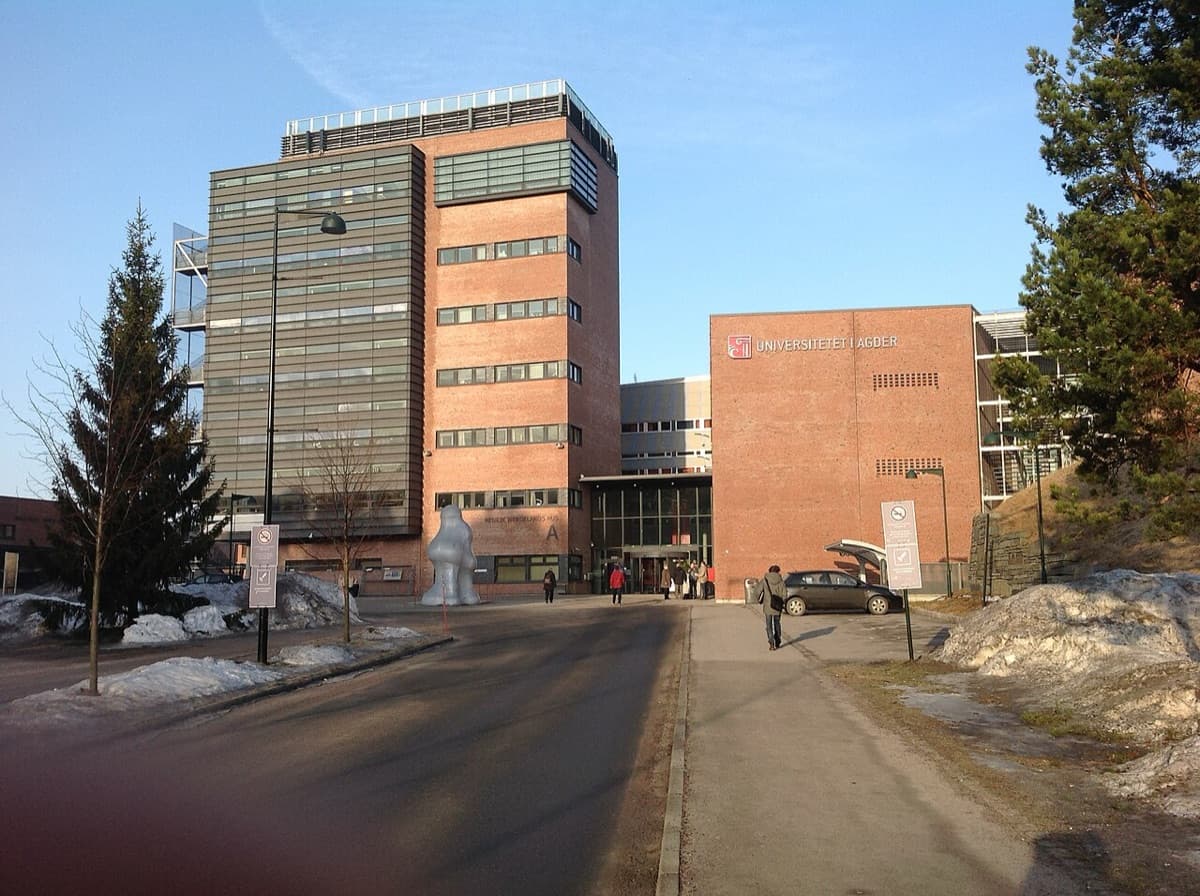 University of Agder campus entrance with institutional buildings and clear signage visible on main structure.